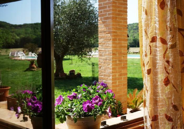 Farm stay Sant Anna Quarter Horse Cura Nuova