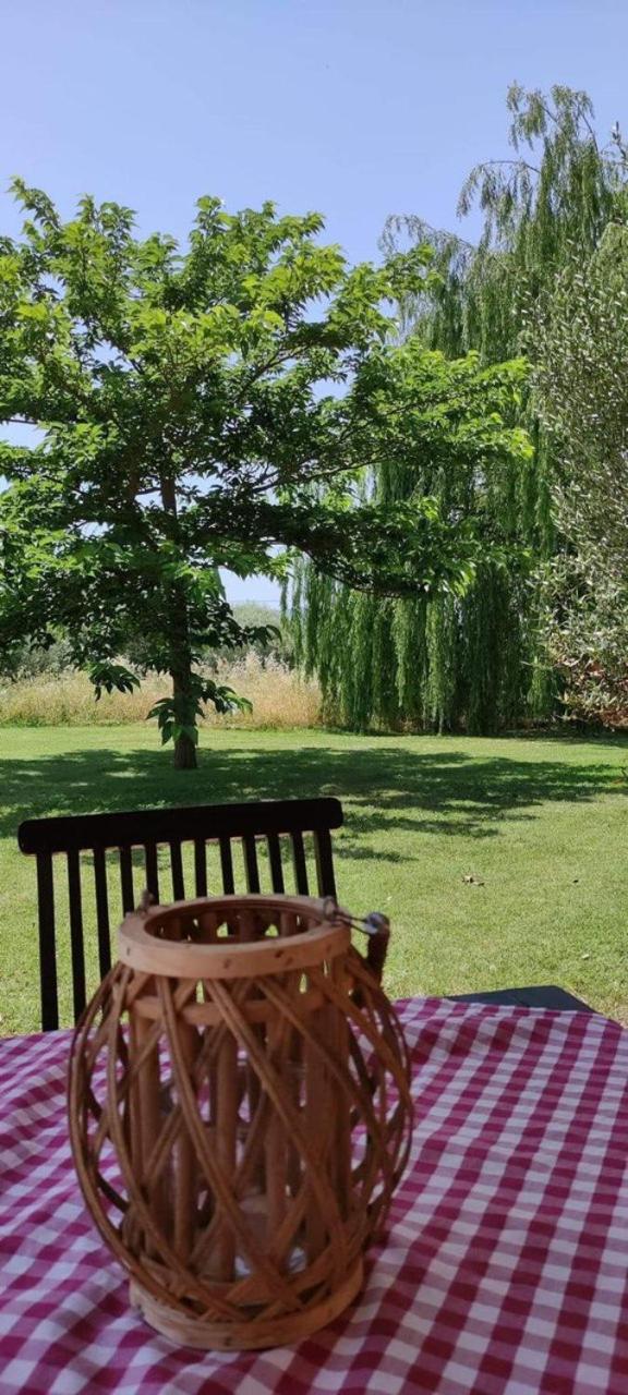 Farm stay Sant Anna Quarter Horse *
