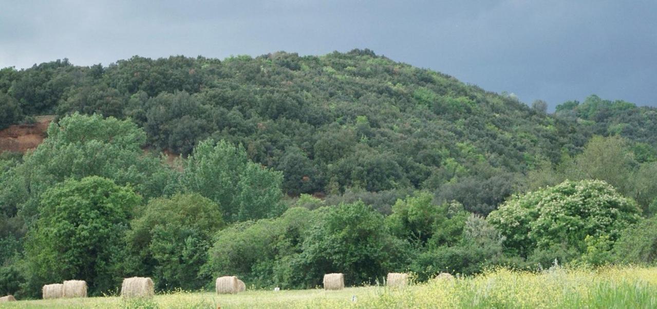 Farm stay Sant Anna Quarter Horse