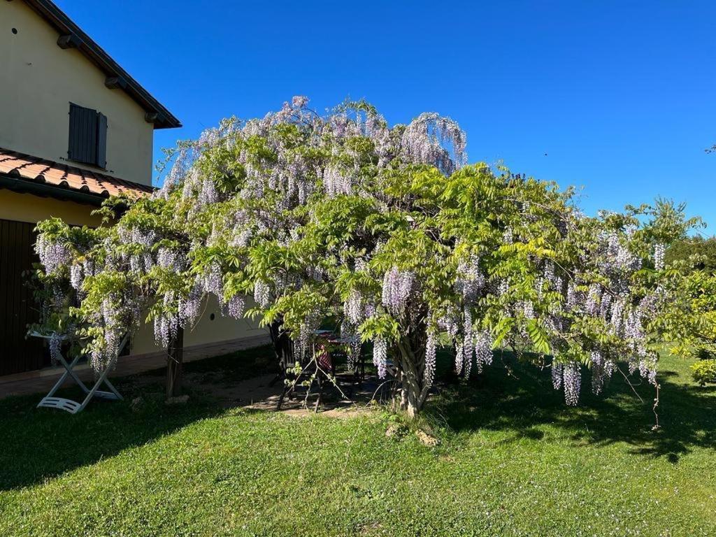 Sant Anna Quarter Horse Farm stay *