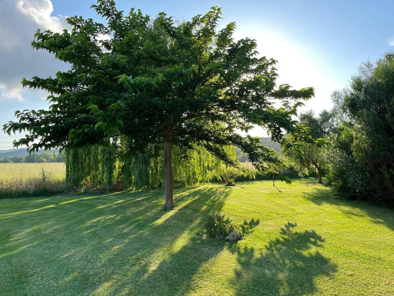 Farm stay Sant Anna Quarter Horse
