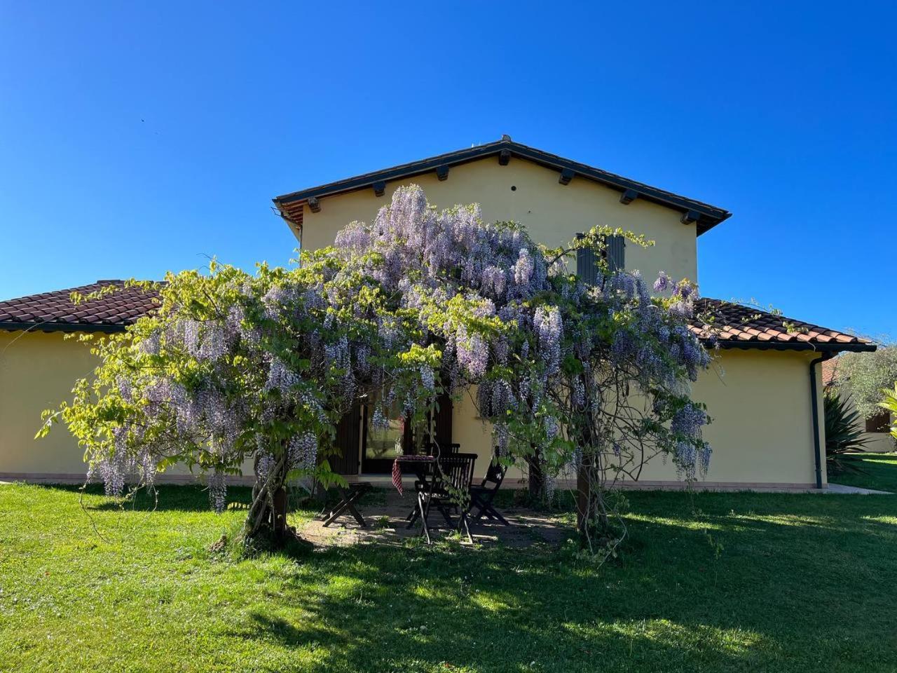 Sant Anna Quarter Horse Farm stay