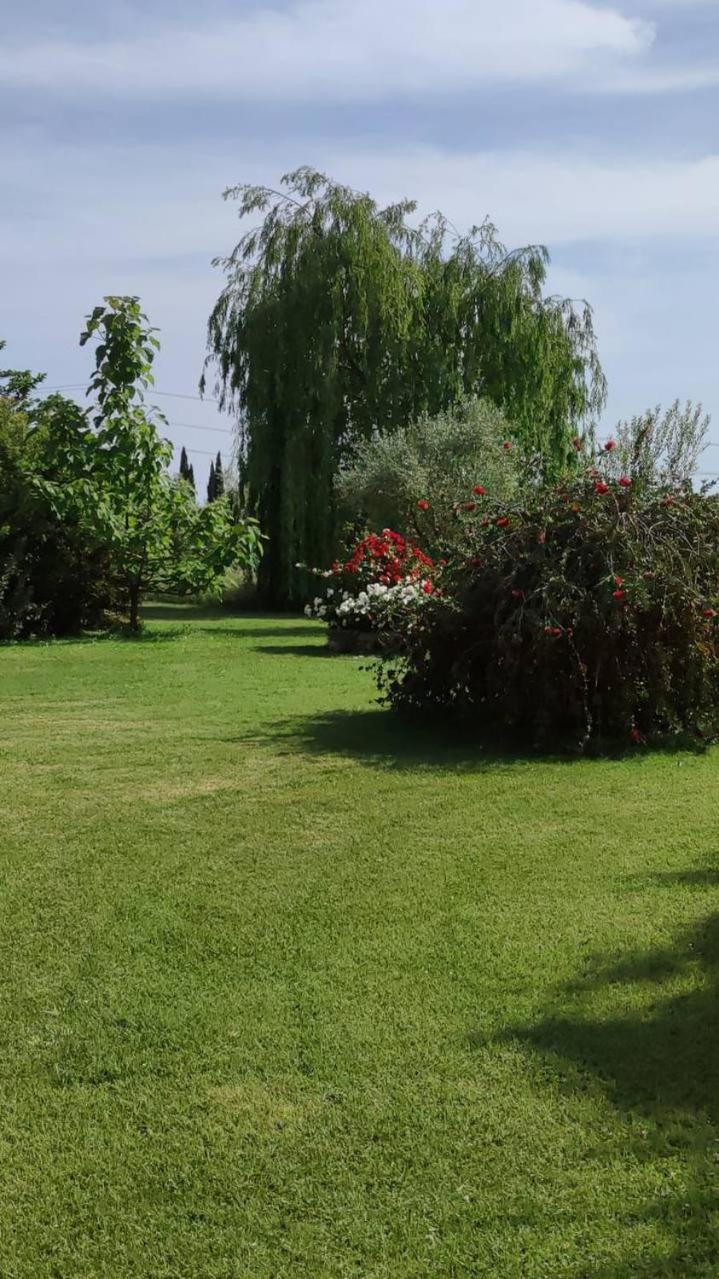 Sant Anna Quarter Horse Farm stay Cura Nuova