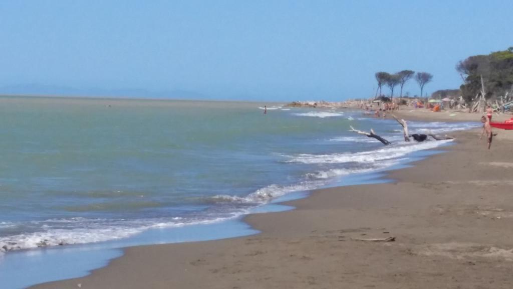Farm stay Sant Anna Quarter Horse