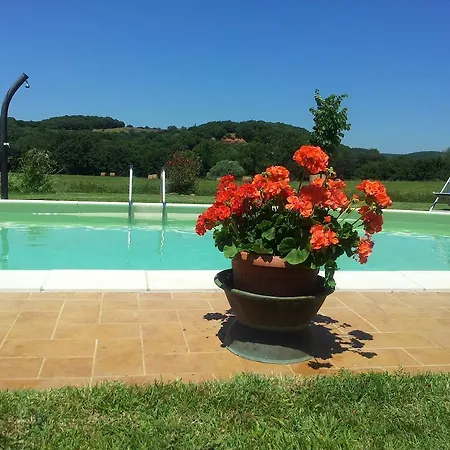 Agriturismo Sant Anna Quarter Horse Massa Marittima Chambre photo