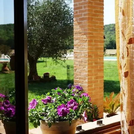 Agriturismo Sant Anna Quarter Horse Massa Marittima Extérieur photo
