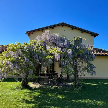 Agriturismo Sant Anna Quarter Horse Massa Marittima Extérieur photo